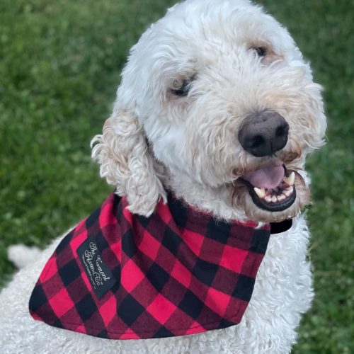 Cute Flannel Dog Bandana Red Buffalo 75709.1694697056.1280.1280