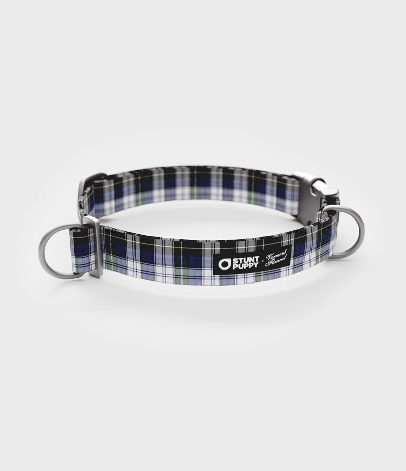 VFC Stunt puppy collar Campbell