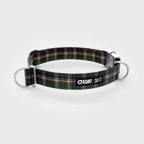 VFC Stunt puppy collar Earth