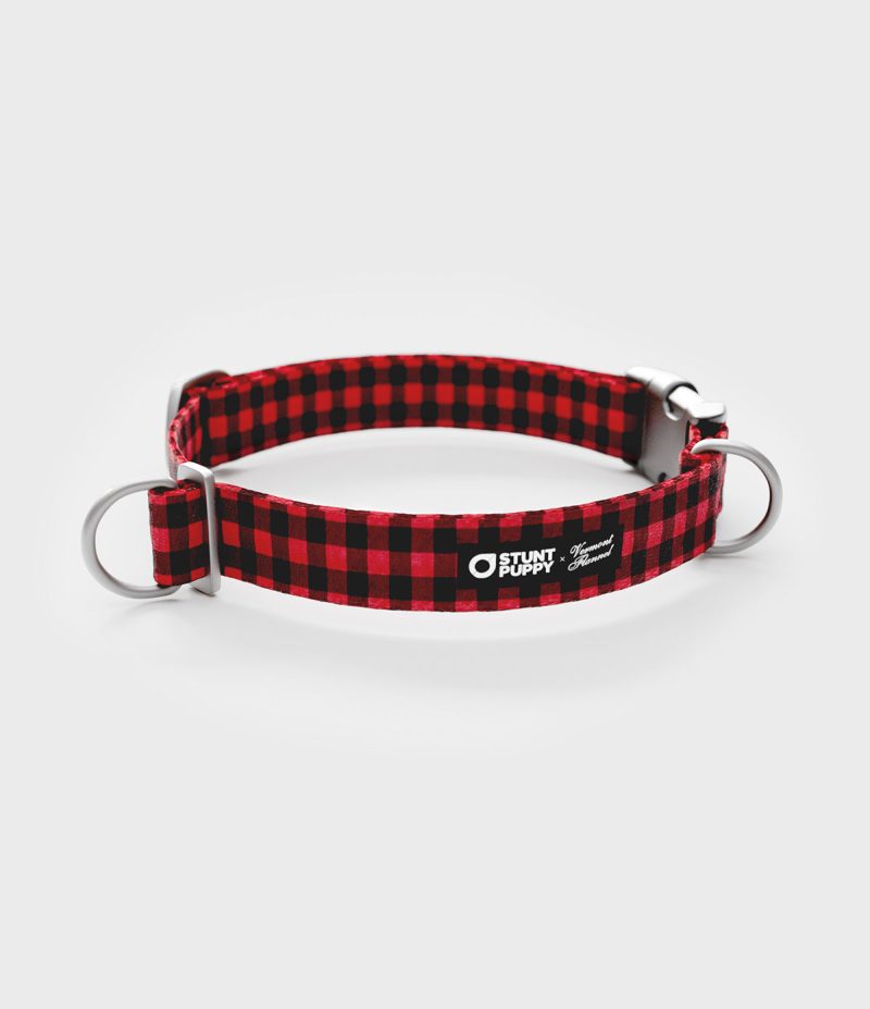 VFC Stunt puppy collar Red Buffalo