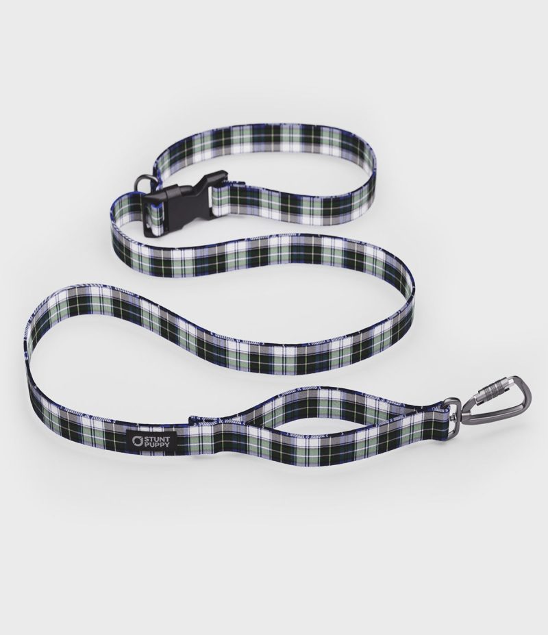 VFC Stunt puppy leash Campbell 2